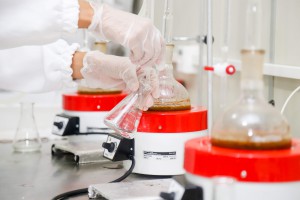 Imagem da notícia - Startup oferece soluções tecnológicas de insumos amazônicos por meio de consultoria técnica