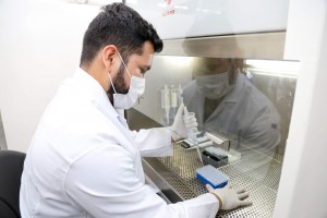 Imagem da notícia - Estudo aponta importância dos fatores genéticos na suscetibilidade da leishmaniose cutânea