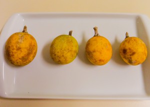Imagem da notícia - Estudo mostra que caramuri tem três vezes mais vitamina C que a laranja