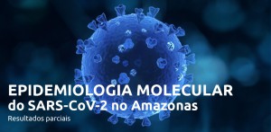 Imagem da notícia - Estudo identifica diferentes linhagens do novo coronavírus circulando no Amazonas