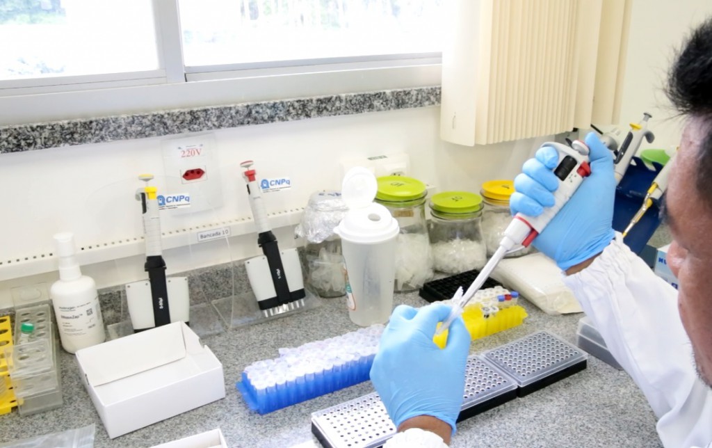 Analises foram feitas no Laboratorio de Biologia Molecular da Embrapa Amazonia Ocidental- foto Siglia Souza (2)