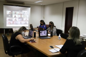 Imagem da notícia - Fapeam empossa novos membros das Câmaras de Assessoramento Científico