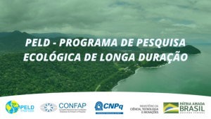 Imagem da notícia - Termina hoje (14/09) a submissão de propostas  para o  Programa de Pesquisa Ecológica de Longa Duração