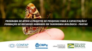 Imagem da notícia - Protax- Chamada para apoio e capacitação em taxonomia biológica