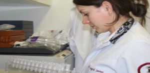 Imagem da notícia - Estudo sugere que a presença ou ausência do HPV no câncer de cabeça e pescoço apresenta heterogeneidade entre as regiões geográficas