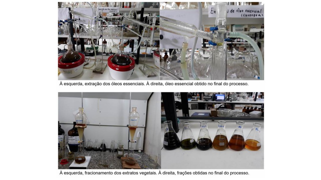 Fotos para a matéria da FAPEAM (1) (1)