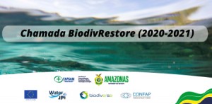 Imagem da notícia - Chamada BiodivRestore recebe pré-propostas até 7 de dezembro