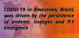 Imagem da notícia - Estudo publicado na Nature Medicine aponta causas dos picos da Covid-19 no Amazonas