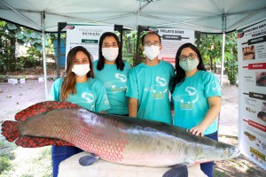 Imagem da notícia - Com apoio da Fapeam, exposição virtual apresenta peixes nativos da Amazônia e portas abertas a laboratórios