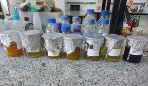 Imagem da notícia - Casca do tucumã pode inibir bactérias causadoras de infecções em seres humanos, aponta estudo apoiado pela Fapeam