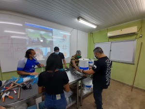 Imagem da notícia - Governo investe na produção sustentável de peixes e hortaliças no interior do estado