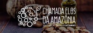 Imagem da notícia - Chamada ‘Elos da Amazônia’ busca soluções na produção de castanha-da-Amazônia e óleos vegetais