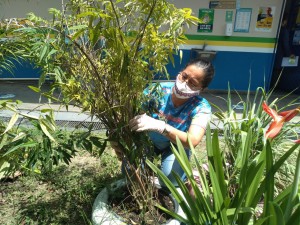 Imagem da notícia - Com apoio da Fapeam, projeto leva conhecimento sobre plantas medicinais para alunos da rede pública em Manaus
