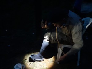 Captura de Anopheles Darlingi (vetor) através da Técnica de Atração Humana Protegida (TAHP)