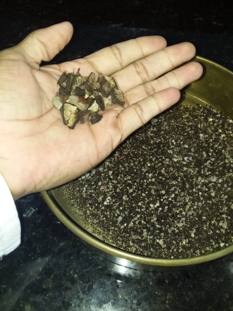Caroços de tucumã triturados para obtenção de pontos de carbono