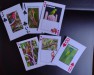 Estudantes de Tefé desenvolvem jogo de cartas inspirados em aves da Amazônia-Foto Ana lima (5)