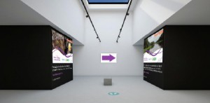 Imagem da notícia - Projetos liderados por cientistas mulheres no Amazonas são destaques em exposição virtual da Fapeam