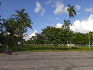Imagem da notícia - Estudantes mapeiam áreas verdes para orientar moradores sobre preservação ambiental em Tabatinga