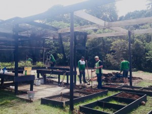 Imagem da notícia - Fapeam apoia projeto em Coari que transforma resíduos de frutas em adubo para produção de hortaliças