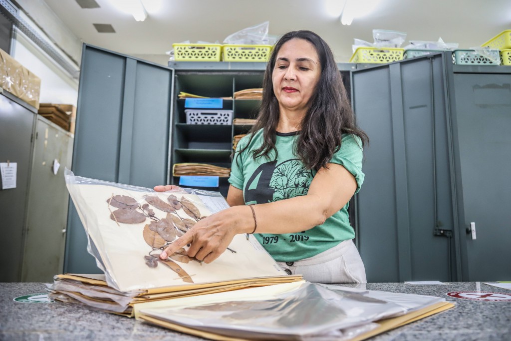 Dra. Maria Anália Duarte de Souza - Fotos Érico Xavier - Fapeam-27