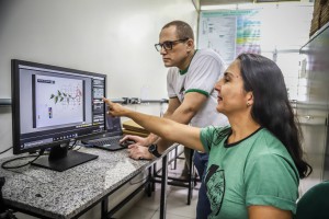 Imagem da notícia - Revitalização e digitação do acervo do Herbário da Ufam recebe apoio do Governo do Estado