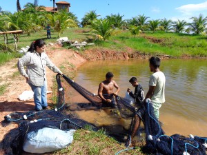 Imagem da notícia - Governo do Amazonas apoia pesquisa de autenticação genética de pescados para garantir segurança alimentar no comércio