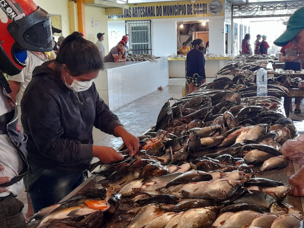 Pesquisa de autenticação genética de pescados-Fotos- Natasha Meliciano-Arquivo Pessoal (2)