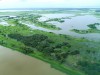 Amazônia-Foto- Marlúcia Seixas (1)