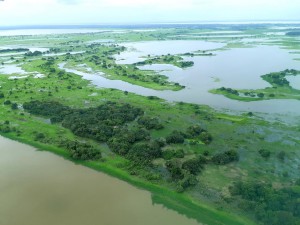 Imagem da notícia - Programa Iniciativa Amazônia +10 encerra inscrições na próxima quarta-feira (10/08)