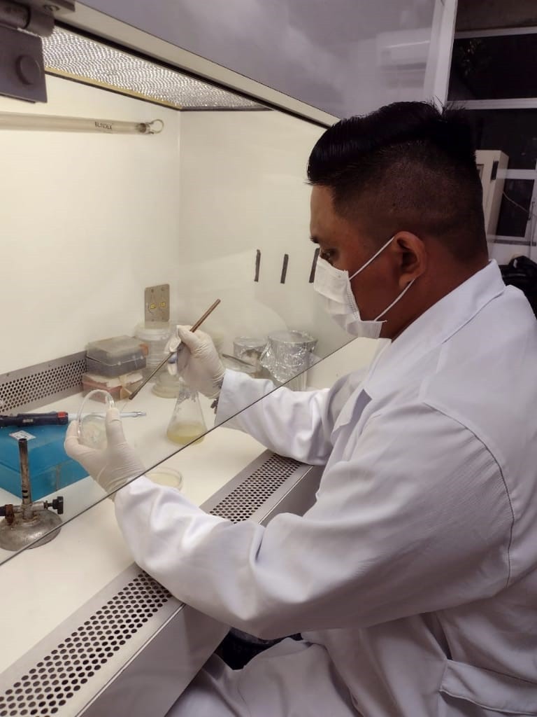 Cultivo de bactérias para obtenção de metabólitos. Acervo do Pesquisador Ricardo katak