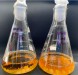 Fermentação dos cogumelos. Foto. Acervo da pesquisadora Waldireny Gomes