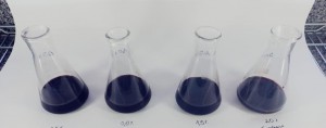 Imagem da notícia - Pesquisa analisa uso de bebidas à base de açaí e bacaba no combate a aterosclerose e obesidade