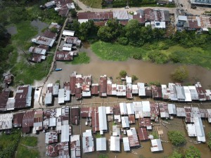 Imagem da notícia - Estudo mapeia informações sobre a agrobiodiversidade do Alto Solimões