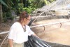 Pesquisadora Elizabeth Gusmão durante atividade do estudo - Foto - Acervo da pesquisadora