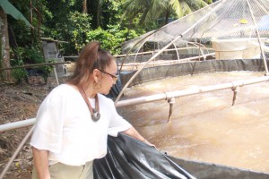 Imagem da notícia - Pesquisa apoiada pelo Governo do Amazonas desenvolve alternativas para aumento da produção de peixes