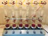 FAPEAM-Resíduos de madeira têm potencial para inibição de fungos e cupins, aponta pesquisa-Foto-Victor Fassina Brocco-Acervo Pessoal (1)