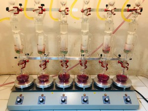Imagem da notícia - Resíduos de madeira têm potencial para inibição de fungos e cupins, aponta pesquisa fomentada pela Fapeam 