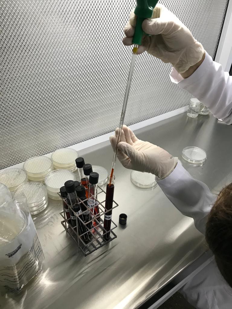 FAPEAM-Resíduos de madeira têm potencial para inibição de fungos e cupins, aponta pesquisa-Foto-Victor Fassina Brocco-Acervo Pessoal (3)