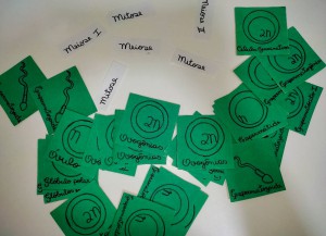 Imagem da notícia - Projeto do Programa Ciência na Escola utiliza jogos educativos nas aulas de Física, Química e Biologia
