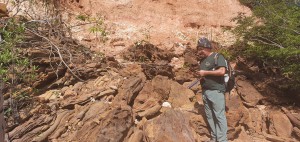 Imagem da notícia - Projeto apoiado pelo Governo do Amazonas produz mapas tridimensionais geoturísticos de Anavilhanas