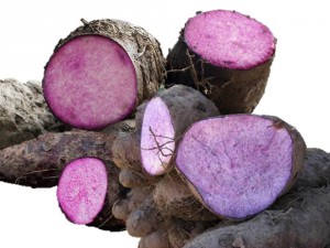Imagem da notícia - Governo do Amazonas apoia pesquisa para potencializar cadeia produtiva do cará-roxo
