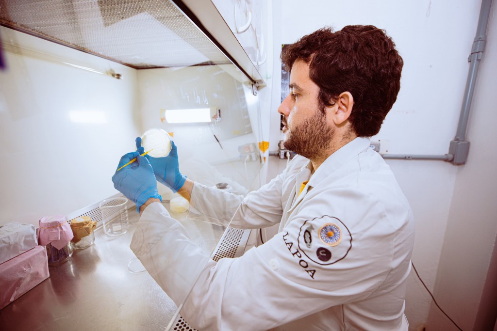 FAPEAM. O projeto apresenta resultados inovadores sobre o isolamento de bactérias intestinais do tambaqui e matrinxã. Foto. Érico Xavier -Fapeam