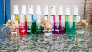 Imagem da notícia - Alunos da Educação de Jovens e Adultos produzem aromatizadores e detergentes durante aulas de química
