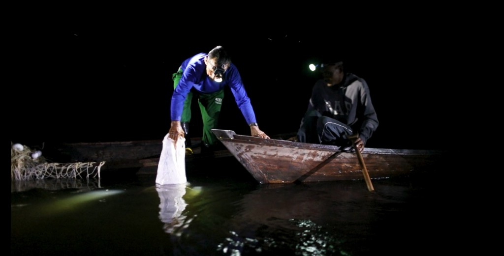FAPEAM-Documentários visibilizam negócios sustentáveis geridos por comunidades tradicionais do interior do Amazonas -Foto-Arquivo pessoal do pesquisador Tiago Jacaúna (10)