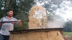 Imagem da notícia - Pesquisadores desenvolvem ração sustentável para peixes a partir de resíduos descartados pelas agroindústrias