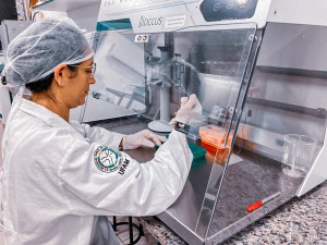 Imagem da notícia - Pesquisa estuda diagnóstico rápido e eficaz de cromossomos em pacientes com distúrbios da diferenciação do sexo