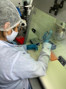 Imagem da notícia - Estudo investiga a influência que as mutações genéticas podem causar em pacientes com malária