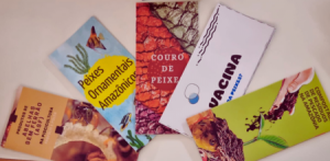 Imagem da notícia - Soluções práticas e inovadoras para o setor de pesca e aquicultura serão apresentadas no interior do Amazonas
