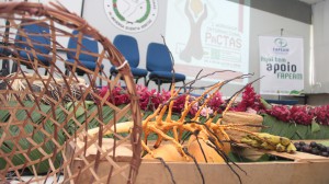 Imagem da notícia - Em Tabatinga, workshop apoiado pelo Governo do Amazonas debate sociobioeconomia na Tríplice Fronteira