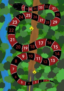 Imagem da notícia - Estudo produz jogos educativos a partir da diversidade de serpentes e peixes em Humaitá